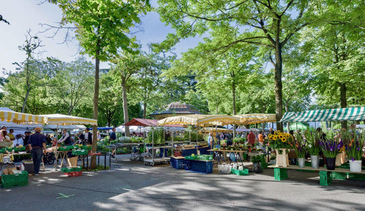 Markt vs. Online-Shopping - The Cocktail